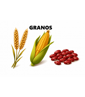 Granos
